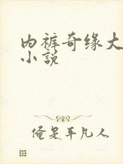 内裤奇缘大团结小说封面