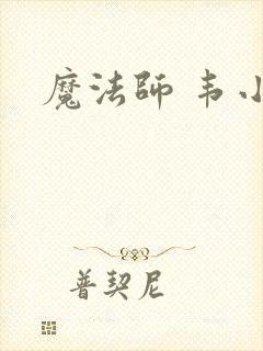 魔法师 韦小宝