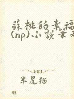 苏桃的幸福生活(np)小说笔趣阁