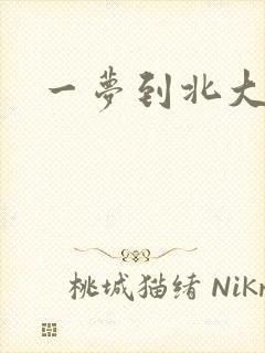 一梦到北大