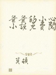 爸爸的小心肝儿小说免费阅读