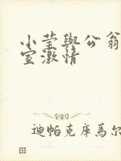 小莹与公翁办公室激情