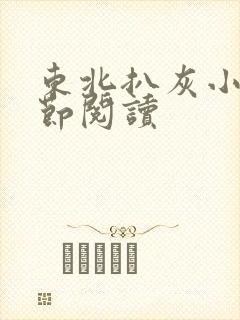 东北扒灰小说分节阅读封面