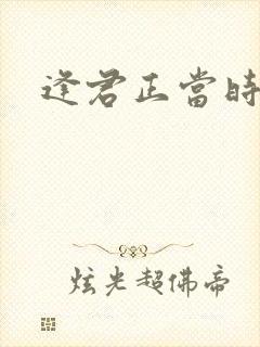 逢君正当时封面