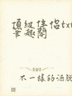 顶级伴侣txt笔趣阁