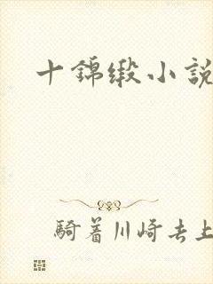 十锦缎小说