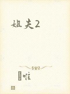 姐夫2封面