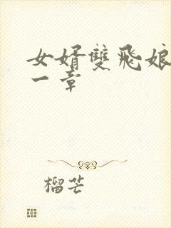 女婿双飞娘俩第一章
