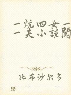一炕四女一共侍一夫小说阅读封面