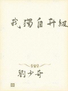 我独自升级2封面