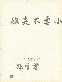 姐夫不要小说