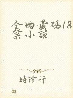 全肉黄码18无禁小说封面