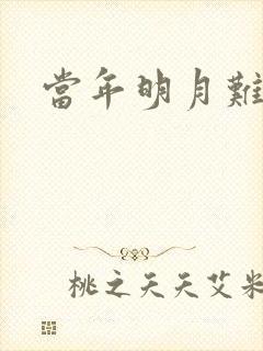 当年明月难寻封面