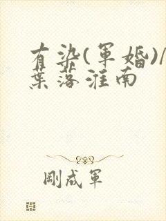 有染(军婚)/叶落淮南封面