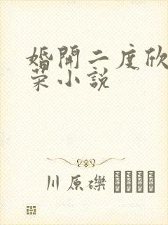 婚开二度欣欣向荣小说