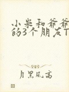 小米和爷爷和他的3个朋友TXT