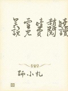 吴雪晴赵晓东小说免费阅读封面