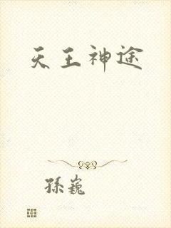 天王神途