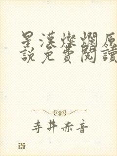 星汉灿烂原著小说免费阅读封面