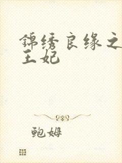 锦绣良缘之北地王妃