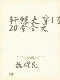 轩辕大宝1至720章全文封面