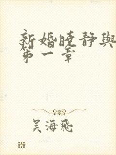 新婚晓静与翁公笫一章封面