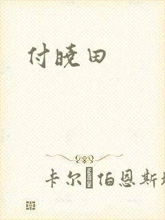 付晓田封面