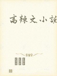 高辣文小说封面