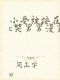 小受被按在墙上c哭男男漫画封面