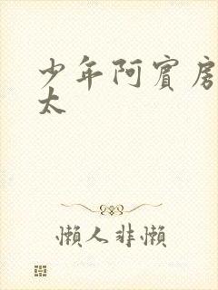 少年阿宾房东太太