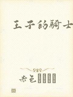 王子的骑士小说封面