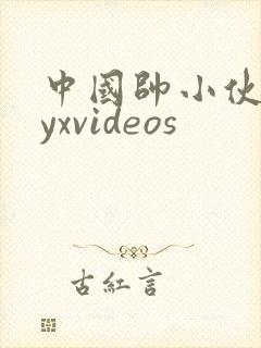 中国帅小伙gayxvideos封面