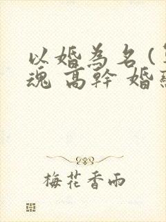 以婚为名 (军魂 高干 婚恋)