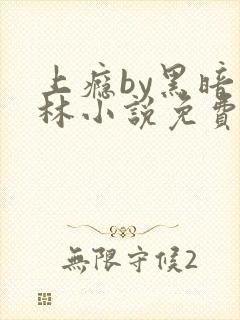 上瘾by黑暗森林小说免费