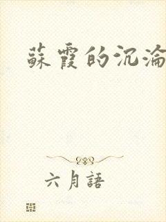 苏霞的沉沦封面