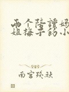 两个陪读妈妈赵姐梅子的小说