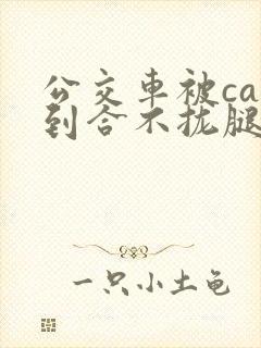 公交车被cao到合不拢腿视频