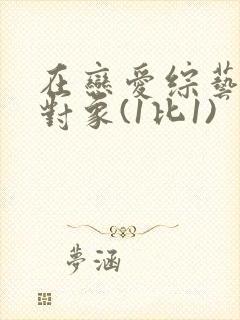 在恋爱综艺里搞对象(1比1)封面