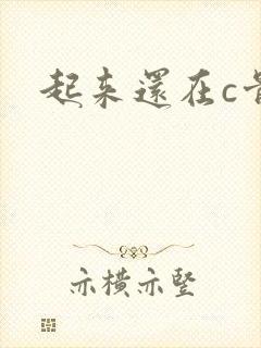 起来还在c骨科封面
