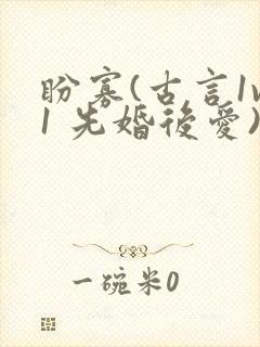 盼寡(古言1v1 先婚后爱)荔枝好多封面