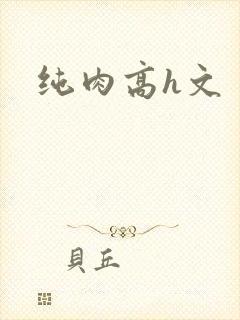 纯肉高h文