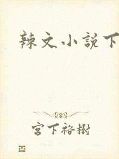 辣文小说下载封面