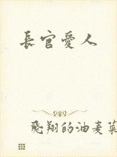 长官爱人封面