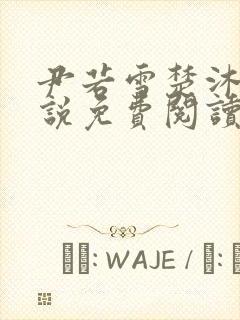 尹若雪楚沐珊小说免费阅读全文最新章节列表封面