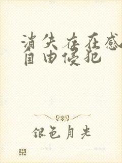 消失存在感消失自由侵犯封面