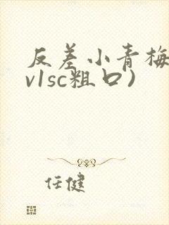 反差小青梅(1v1sc粗口)