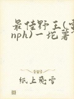 最佳野王(电竞nph)一坨薯饼