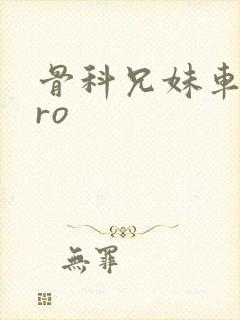 骨科兄妹车多pro