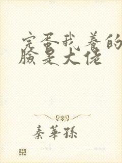 完蛋我养的小白脸是大佬