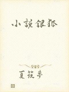 小说银狐
